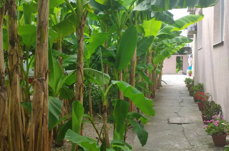 Изображение Изображение гостиницы "Гостевой дом «Ангелина»" #8 #8