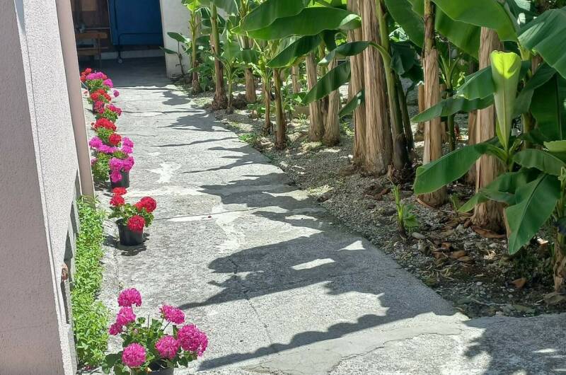 Изображение Изображение отеля / гостиницы "Гостевой дом «Ангелина»" #11 #9