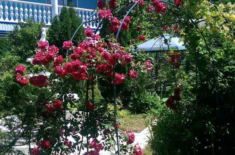 Изображение Изображение гостиницы "Усадьба для семейного отдыха «Елизавета»" #2 #2