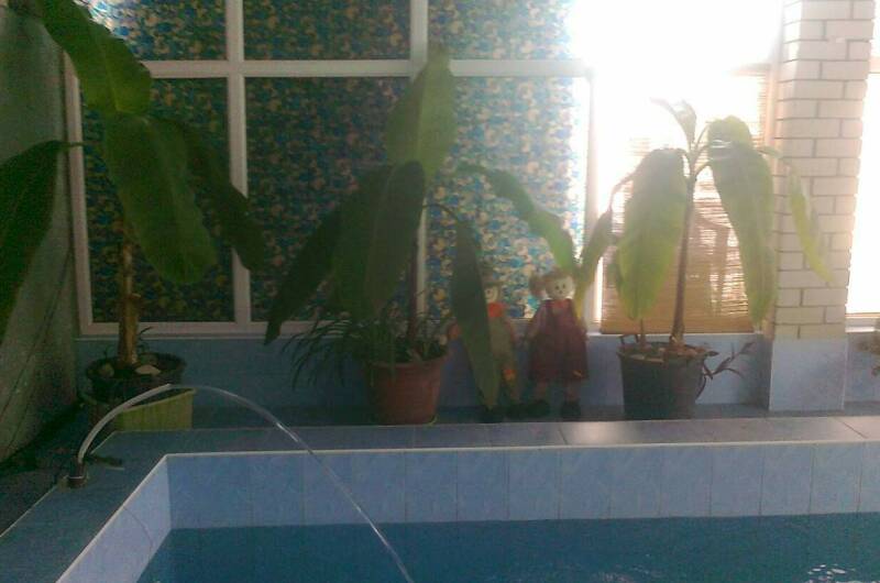 Изображение Изображение гостиницы "Усадьба для семейного отдыха «Елизавета»" #7 #7