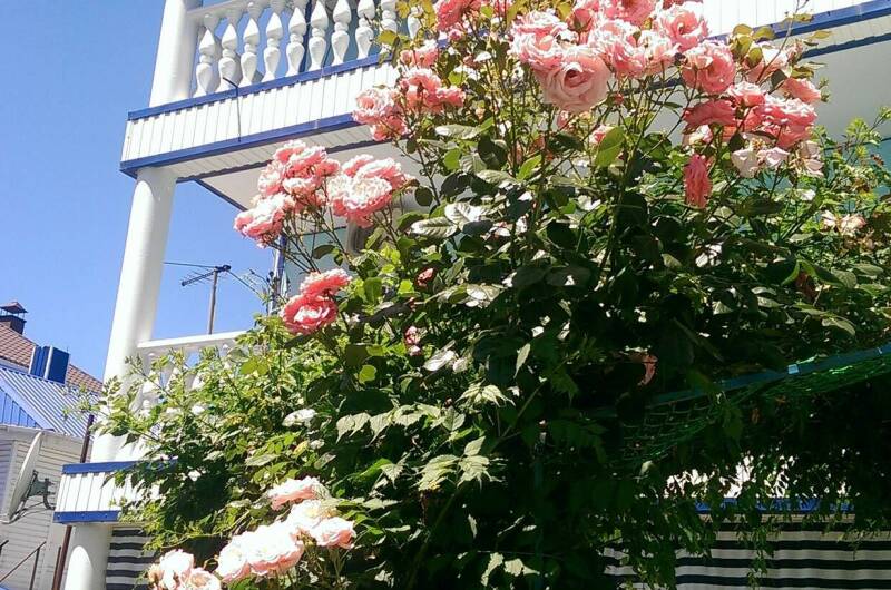 Изображение Изображение отеля / гостиницы "Усадьба для семейного отдыха «Елизавета»" #11 #9