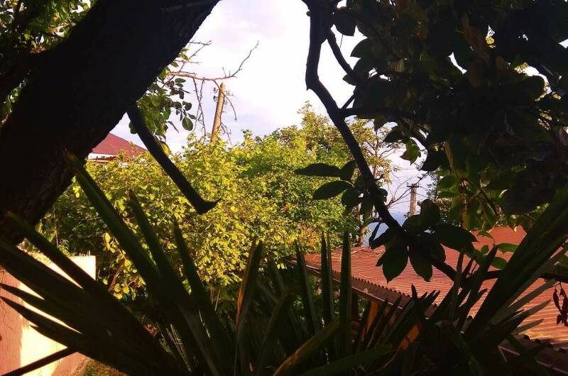 Изображение Изображение гостиницы &quot;Гостевой дом «Натали»&quot; #7 #7