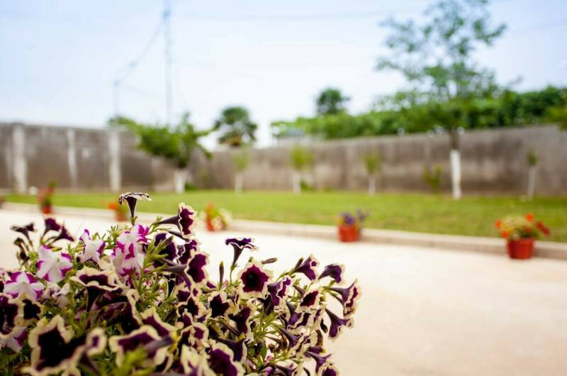 Изображение Изображение отеля / гостиницы "Гостевой дом «100 метров от моря»" #10 #8