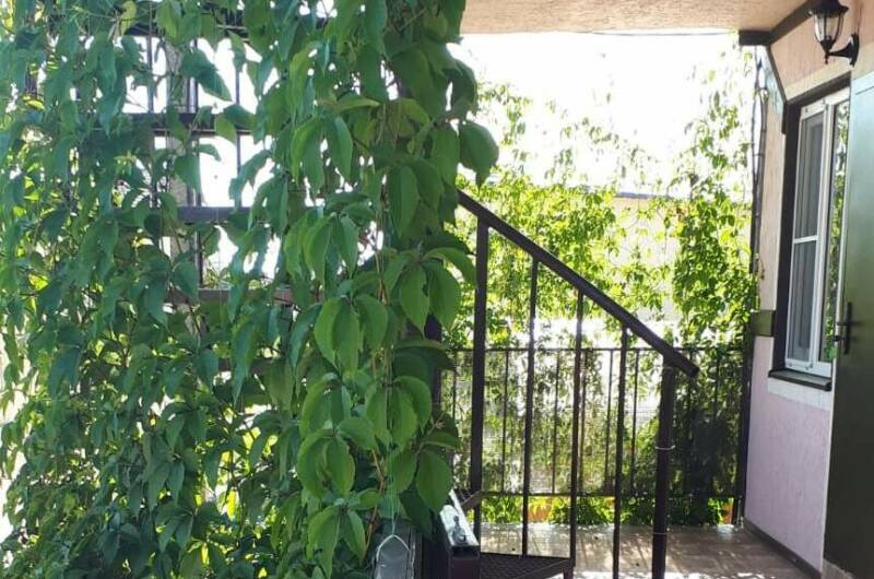 Изображение Изображение гостиницы "Гостиница «Лидия»" #6 #6