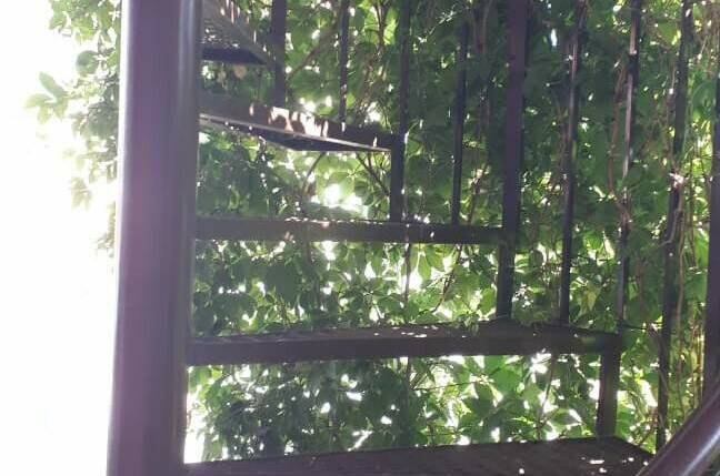 Изображение Изображение гостиницы "Гостиница «Лидия»" #7 #7