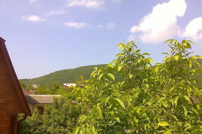 Изображение Изображение гостиницы &quot;Гостевой дом «Тихий дворик»&quot; #8 #8