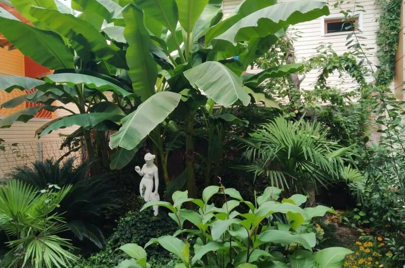 Изображение Изображение гостиницы &quot;Гостевой дом «Райский уголок»&quot; #5 #5