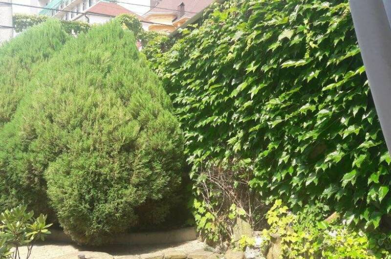 Изображение Изображение гостиницы "Гостевой дом «Натали»" #3 #3