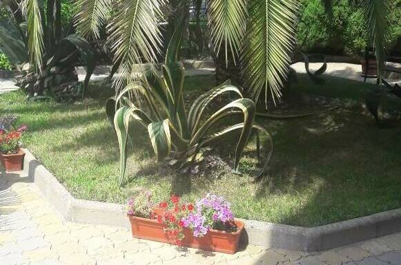 Изображение Изображение гостиницы "Гостевой дом «Натали»" #5 #5