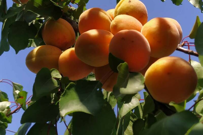 Изображение Изображение отеля / гостиницы "Гостевой дом «Валерия»" #11 #9