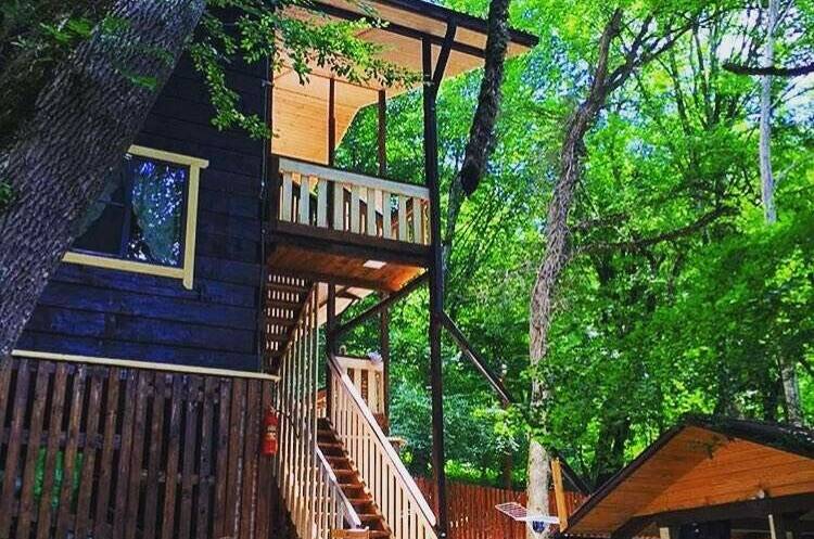 Изображение Изображение гостиницы &quot;Гостевой дом «БорОдача»&quot; #8 #8