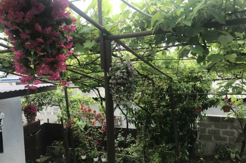 Изображение Изображение гостиницы "Гостевой дом «Ольга»" #4 #4