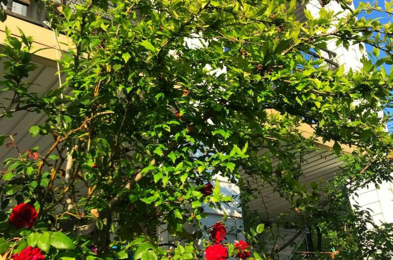 Изображение Изображение отеля / гостиницы "Гостевой дом «РиМ»" #11 #9