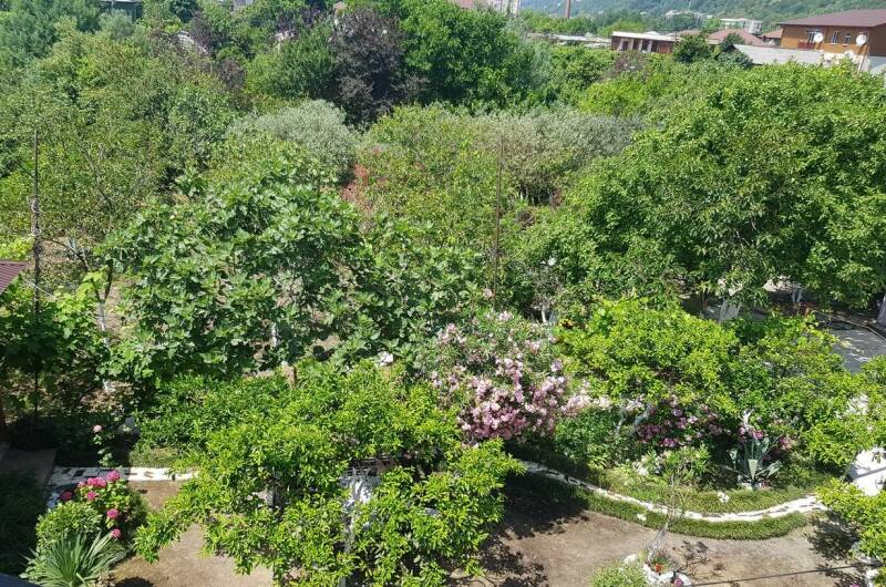 Изображение Изображение гостиницы &quot;Гостевой дом «Олеандр»&quot; #3 #3