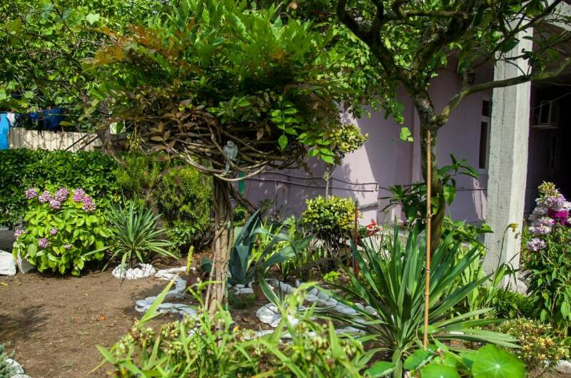 Изображение Изображение гостиницы &quot;Гостевой дом «Олеандр»&quot; #6 #6