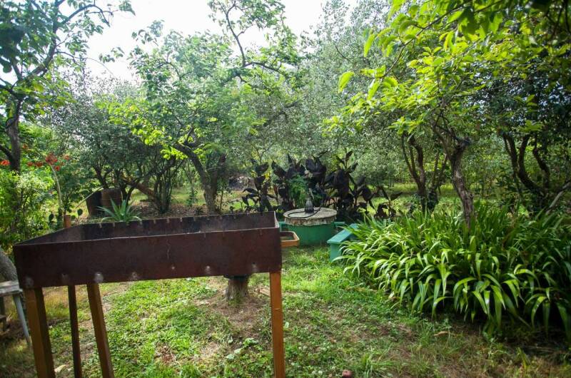 Изображение Изображение отеля / гостиницы "Гостевой дом «Олеандр»" #11 #9