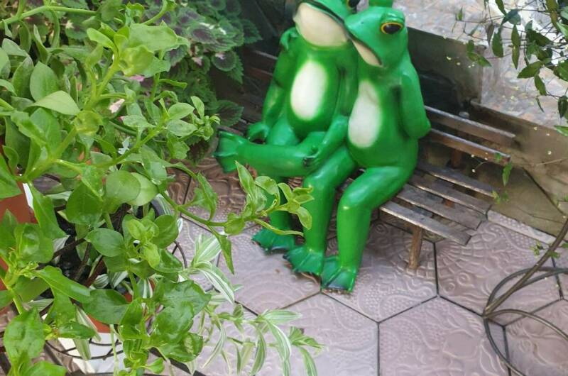 Изображение Изображение гостиницы &quot;Гостевой дом «Магнат»&quot; #2 #2