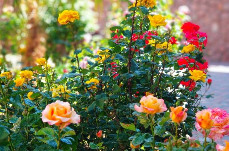 Изображение Изображение гостиницы &quot;Отель «Море Удачи»&quot; #2 #2