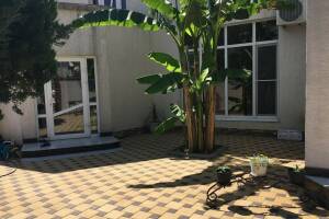 Изображение Гостевой дом «Зелёный рай» #2