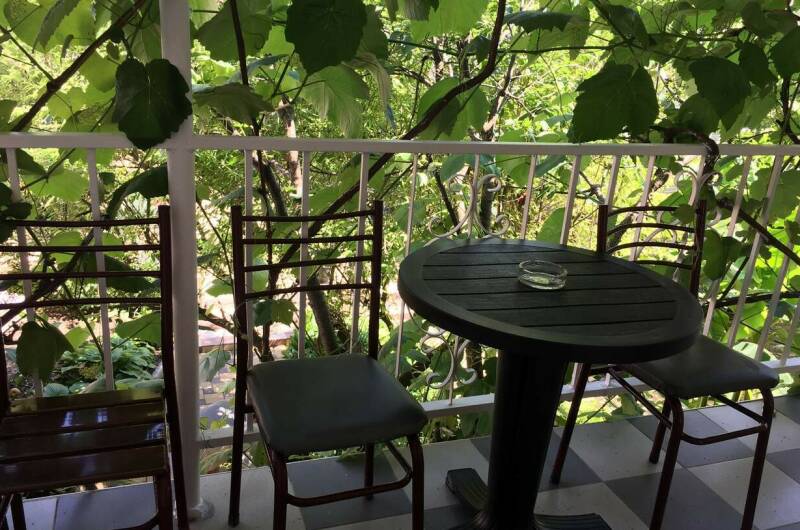 Изображение Изображение гостиницы &quot;Гостевой дом «Зелёный рай»&quot; #3 #3