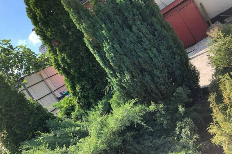 Изображение Изображение гостиницы &quot;Гостевой дом «Прохлада»&quot; #5 #5