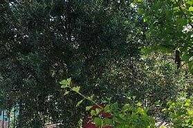 Изображение Изображение отеля / гостиницы "Гостевой дом на Лапстинской 15" #10 #8