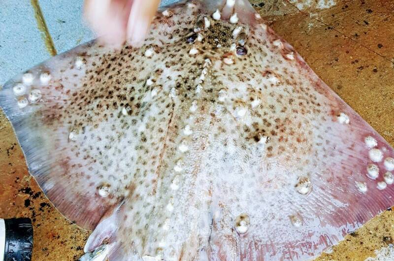 Изображение Изображение отеля / гостиницы "Гостевой дом «У Ивана»" #10 #8