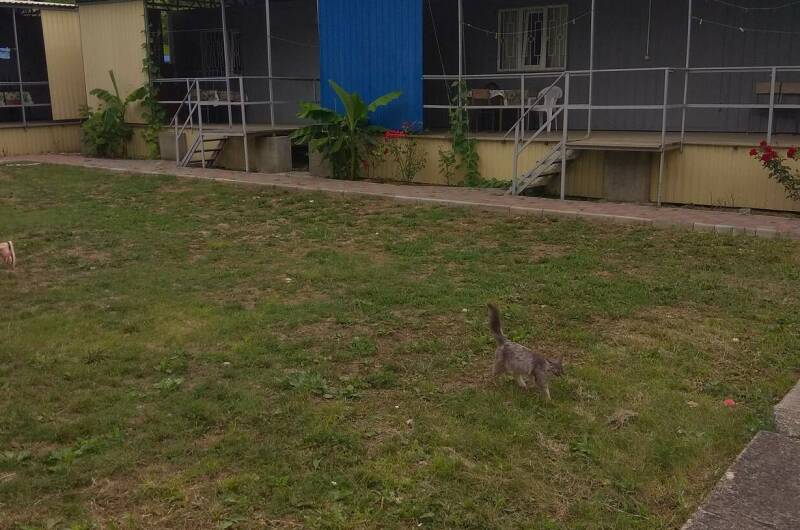 Изображение Изображение квартиры / апартамента "Домик под ключ на Ленина 13" #10 #8