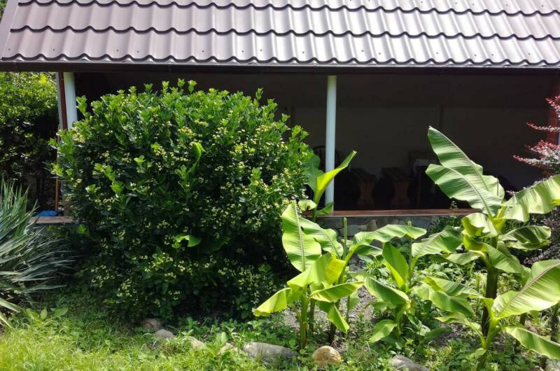 Изображение Изображение отеля / гостиницы "Частный сектор" #10 #8