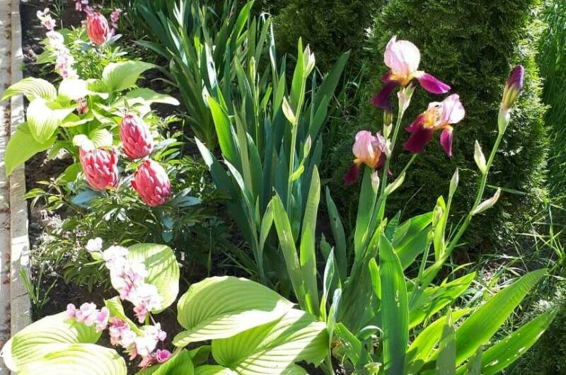 Изображение Изображение гостиницы &quot;Частная Усадьба «Лакшми»&quot; #2 #2