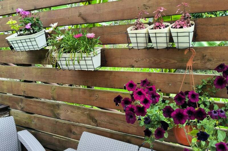 Изображение Изображение гостиницы &quot;Гостевой дом «Белый виноград»&quot; #6 #6