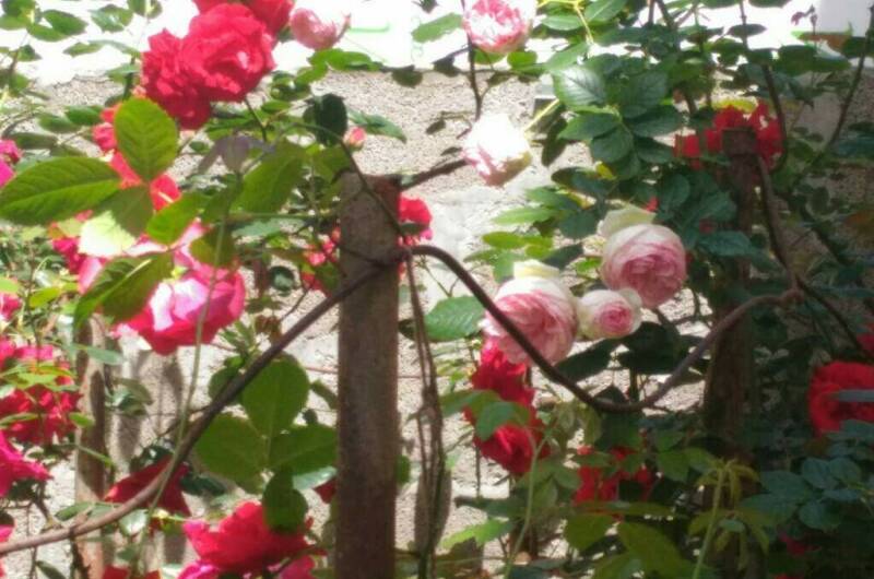 Изображение Изображение отеля / гостиницы "Гостевой дом «Квартирки у моря» (кухня в номере)" #10 #8