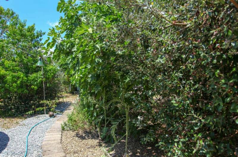 Изображение Изображение гостиницы &quot;Гостевой дом «Бригантина»&quot; #3 #3