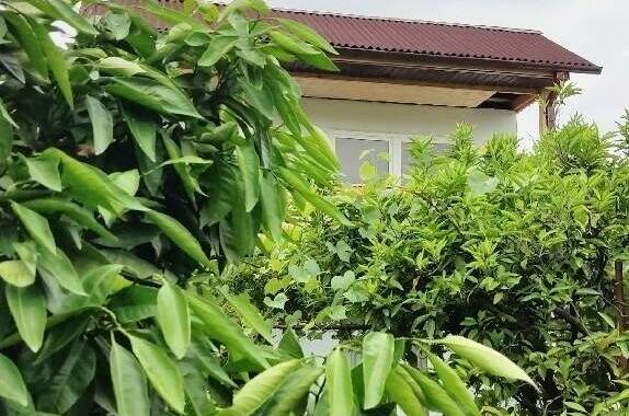 Изображение Изображение гостиницы &quot;Гостевой дом «Бригантина»&quot; #6 #6