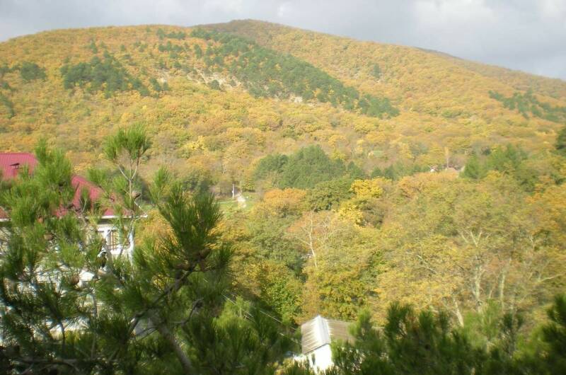 Изображение Изображение квартиры &quot;Апартаменты «Бетта»&quot; #3 #3