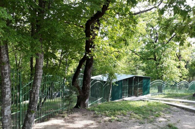 Изображение Изображение квартиры &quot;Бревенчатый дом в лесу у моря&quot; #6 #6