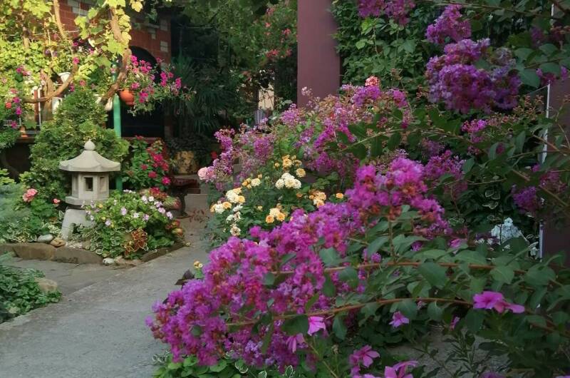 Изображение Изображение гостиницы "Гостевой дом «Лидия»" #3 #3