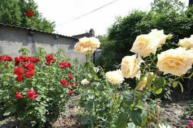 Изображение Изображение гостиницы "Гостевой дом «София»" #3 #3