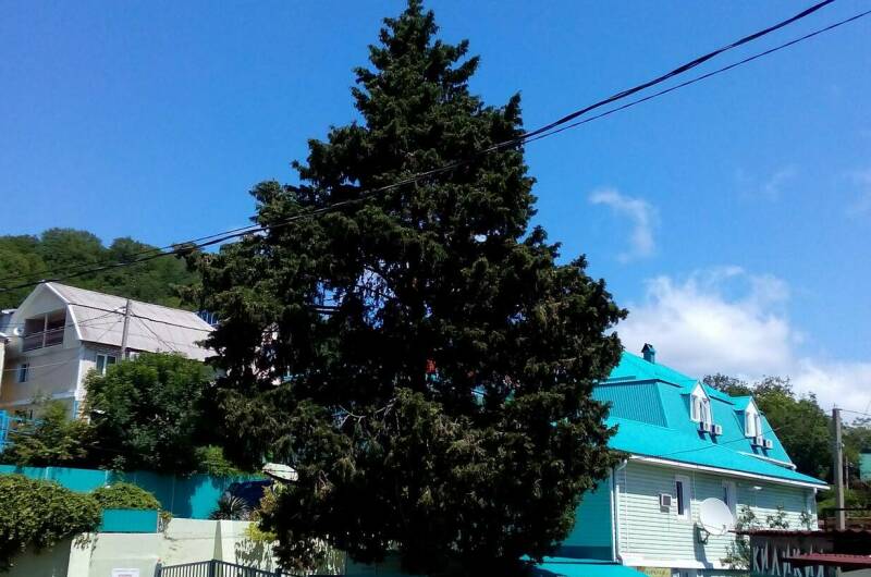 Изображение Изображение гостиницы &quot;Гостевой дом «Татьяна»&quot; #4 #4