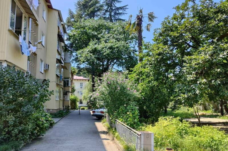 Изображение Изображение квартиры "Однокомнатная квартира" #2 #2