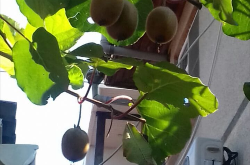 Изображение Изображение квартиры "Двухкомнатная квартира на Демократической" #6 #6