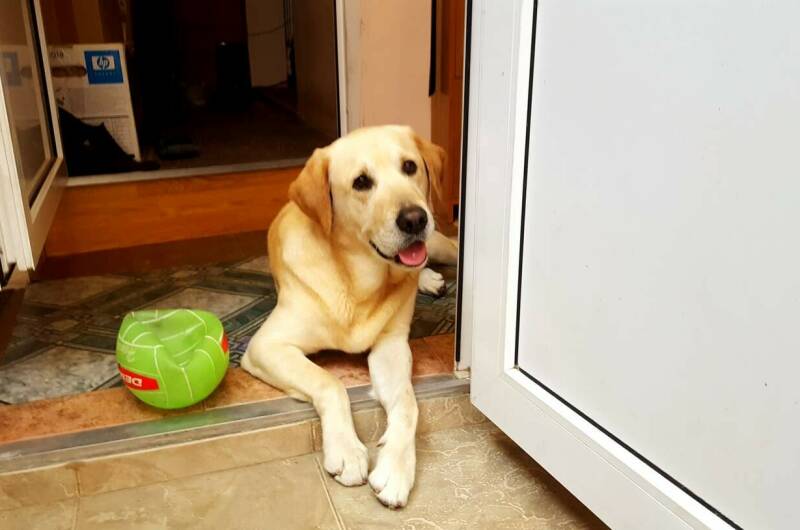 Изображение Изображение гостиницы "Частный сектор «У Татьяны»" #7 #7