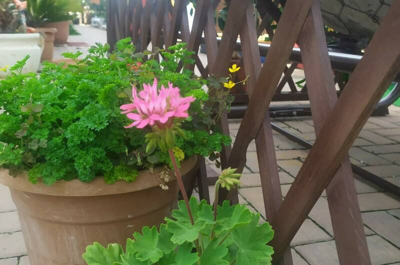 Изображение Изображение гостиницы &quot;Гостиница «Вокруг света»&quot; #8 #8