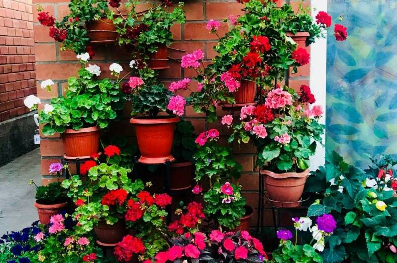 Изображение Изображение гостиницы &quot;Гостевой дом «Вояж»&quot; #5 #5