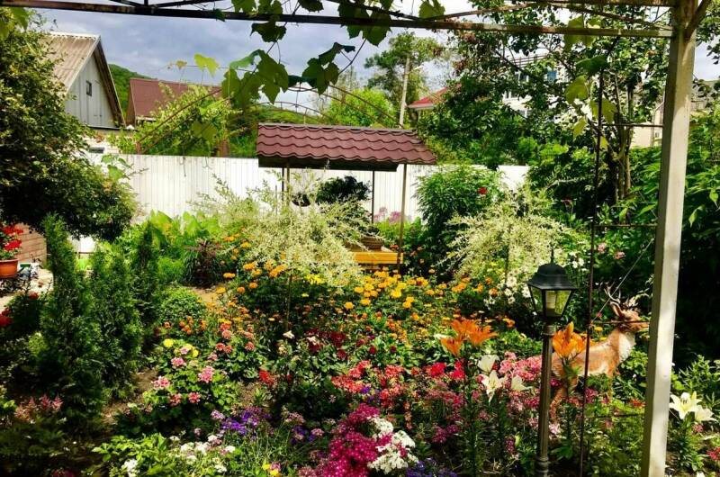 Изображение Изображение отеля / гостиницы "Гостевой дом «Вояж»" #11 #9