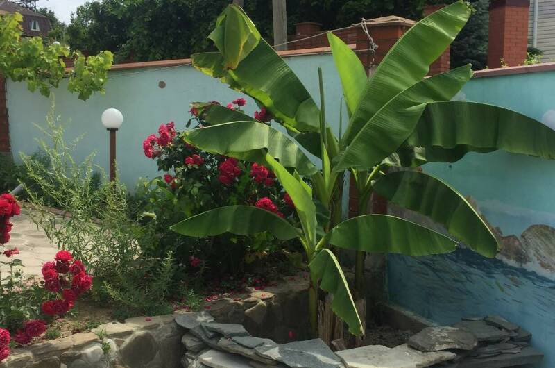 Изображение Изображение гостиницы &quot;Частный дом «Лиза»&quot; #1 #1