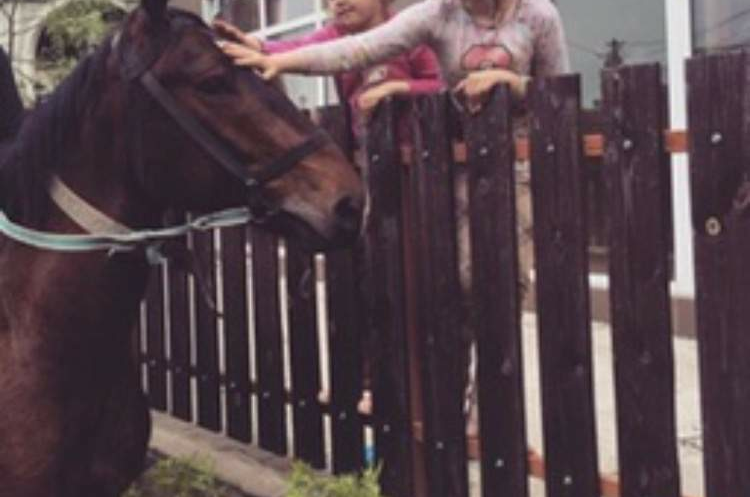 Изображение Изображение гостиницы &quot;Гостевой дом «АLinа»&quot; #8 #8