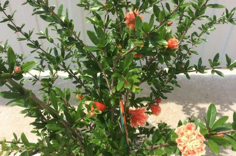 Изображение Изображение отеля / гостиницы "Гостевой дом на Рассветной" #10 #8