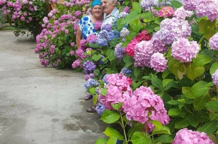 Изображение Изображение гостиницы "Гостевой дом «Вероника»" #3 #3