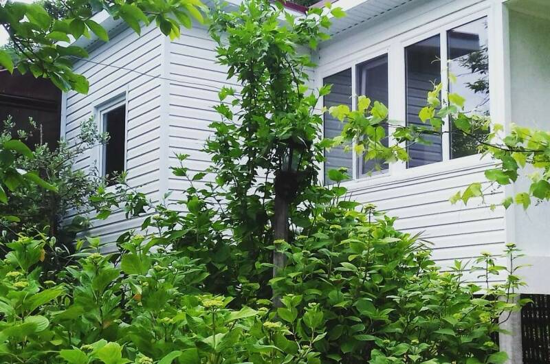 Изображение Изображение гостиницы "Гостевой дом «Вероника»" #7 #7